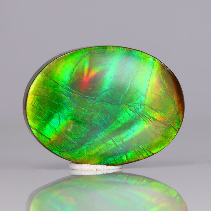 oval cabochon cut ammolitte