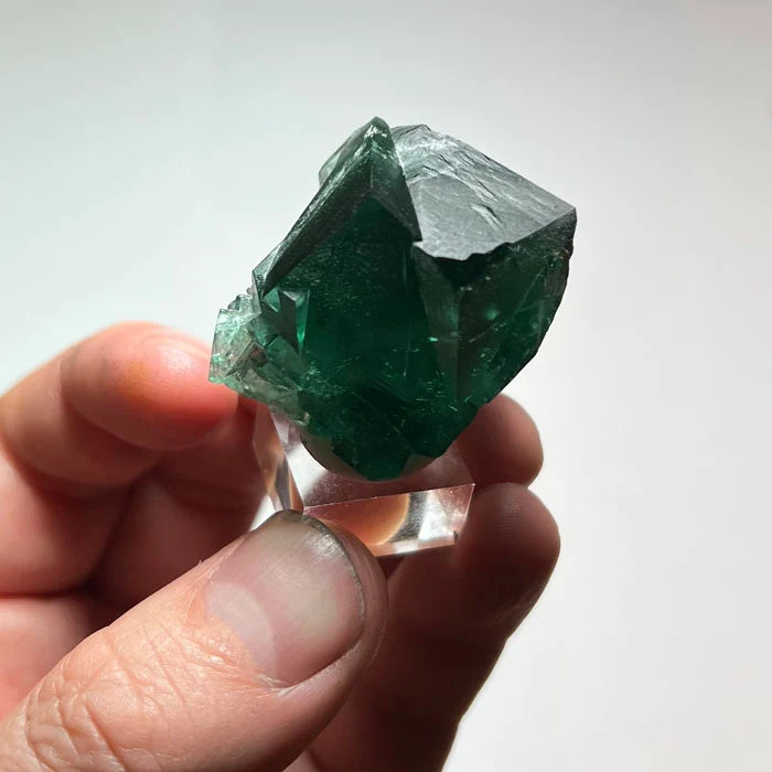 Rogerley Fluorite with Deep Emerald Green Intergrown Cubic Crystals 46.92g
