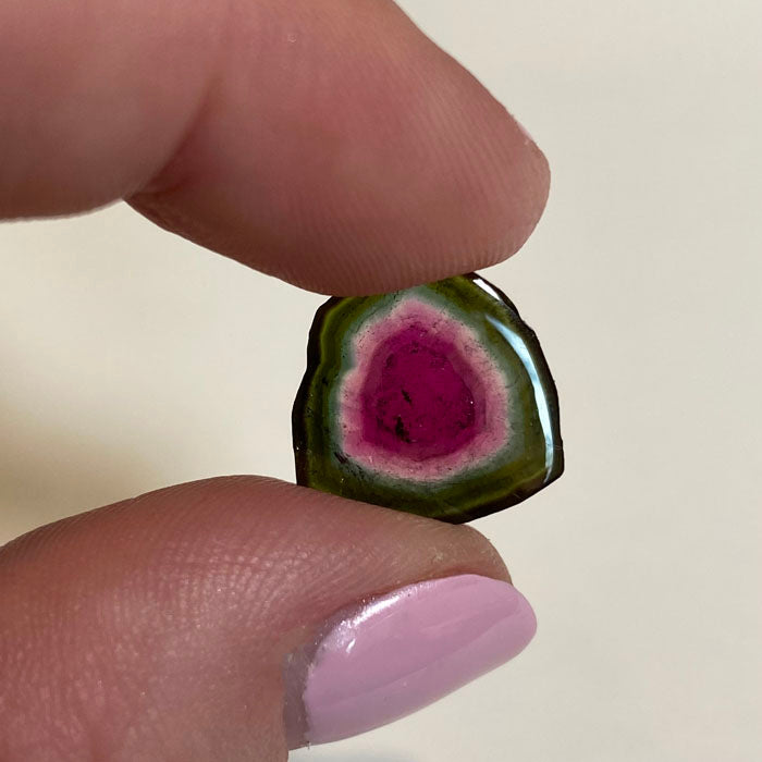 pink green watermelon tourmaline slice
