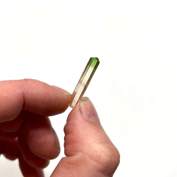 congo tricolor natural raw tourmaline crystal