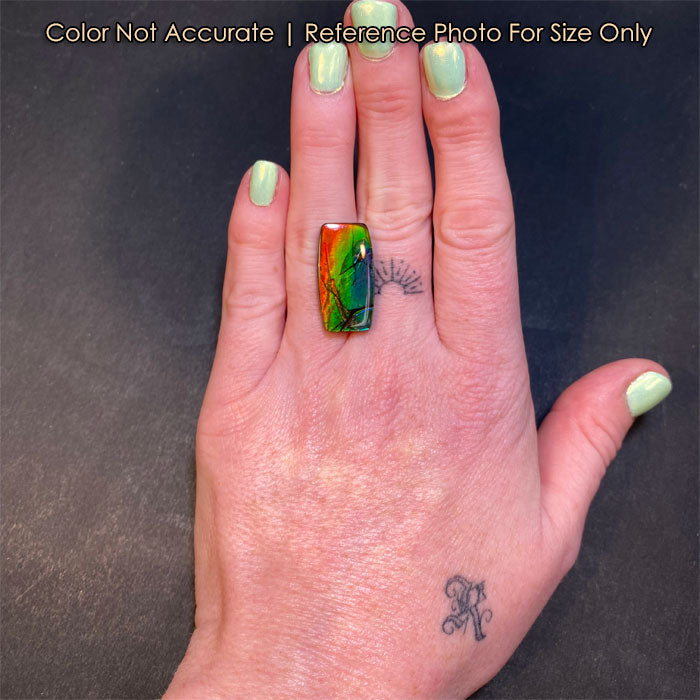 size of ammolite on hand 