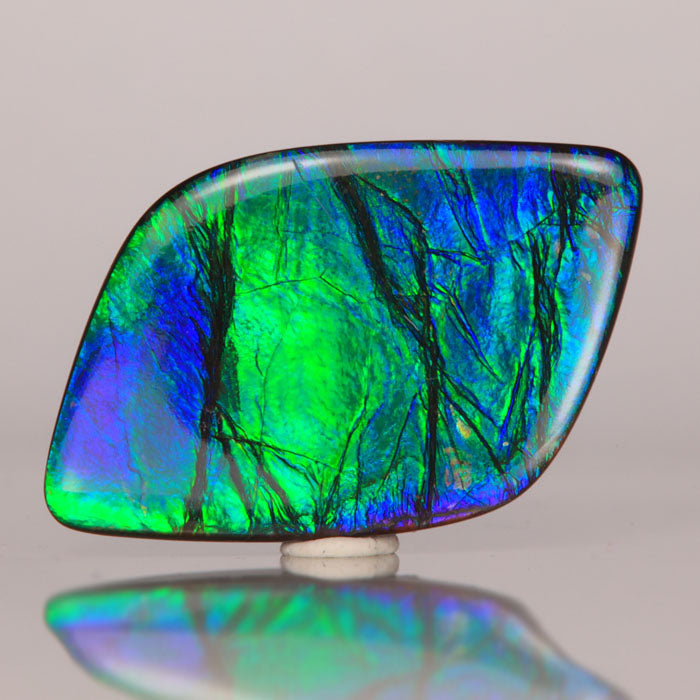 Canadian Ammolite Gems, Fossils & Stones for Jewelry - Moriartys Gem Art