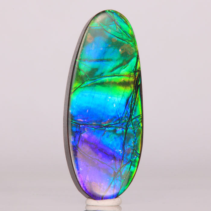 blue purple green oval ammolite gemstone