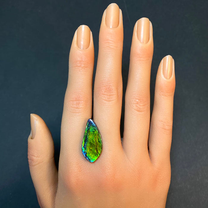 green blue yellow ammolite