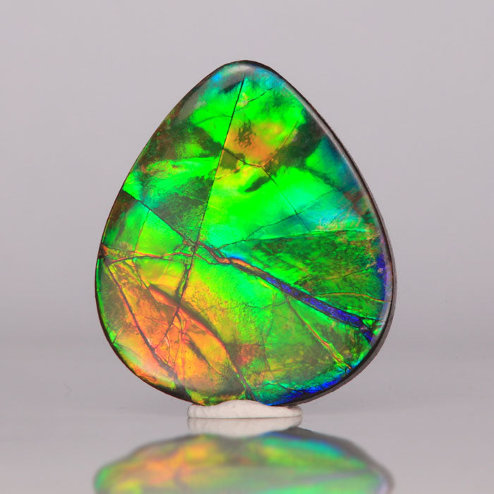 ammolite ammonite gem fossil green blue 