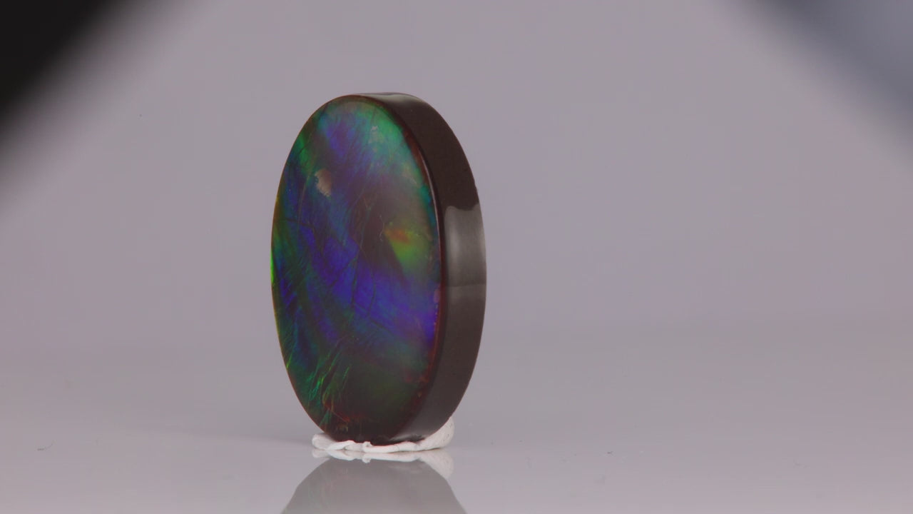 Oval Cabochon Ammolite 13.65 Carats