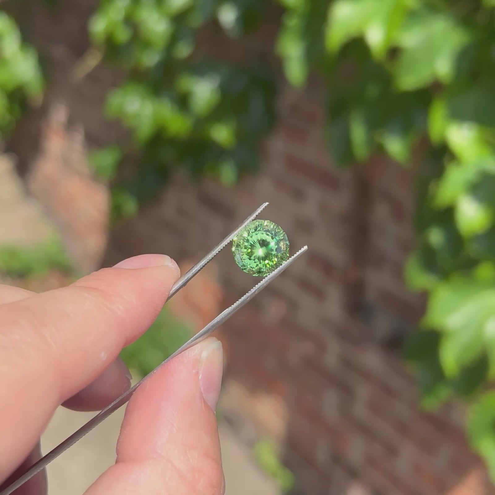 Multi-Faceted Round Cut (Apex Syphonia) Peridot 7.85 Carats