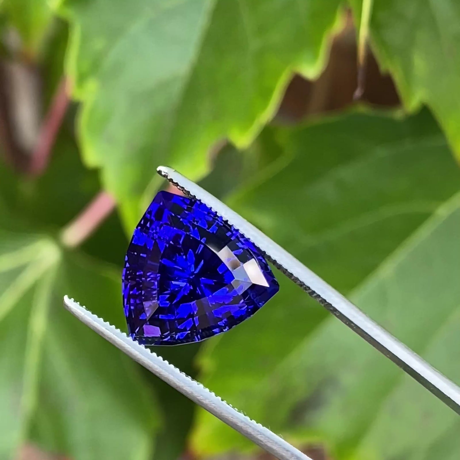 Step Trillant Cut Tanzanite 13.17 Carats