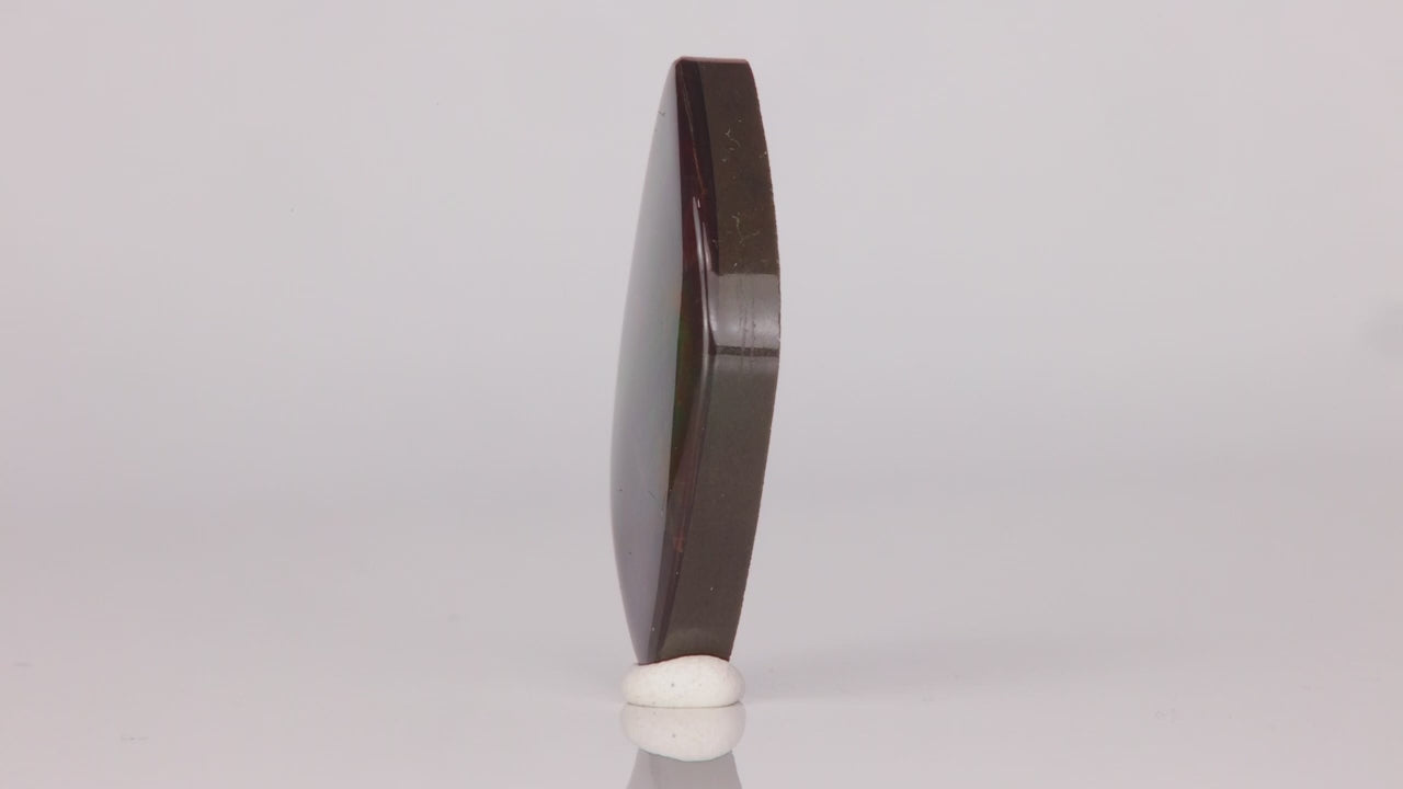 Freeform Cabochon Ammolite From Canada 15.90 Carats