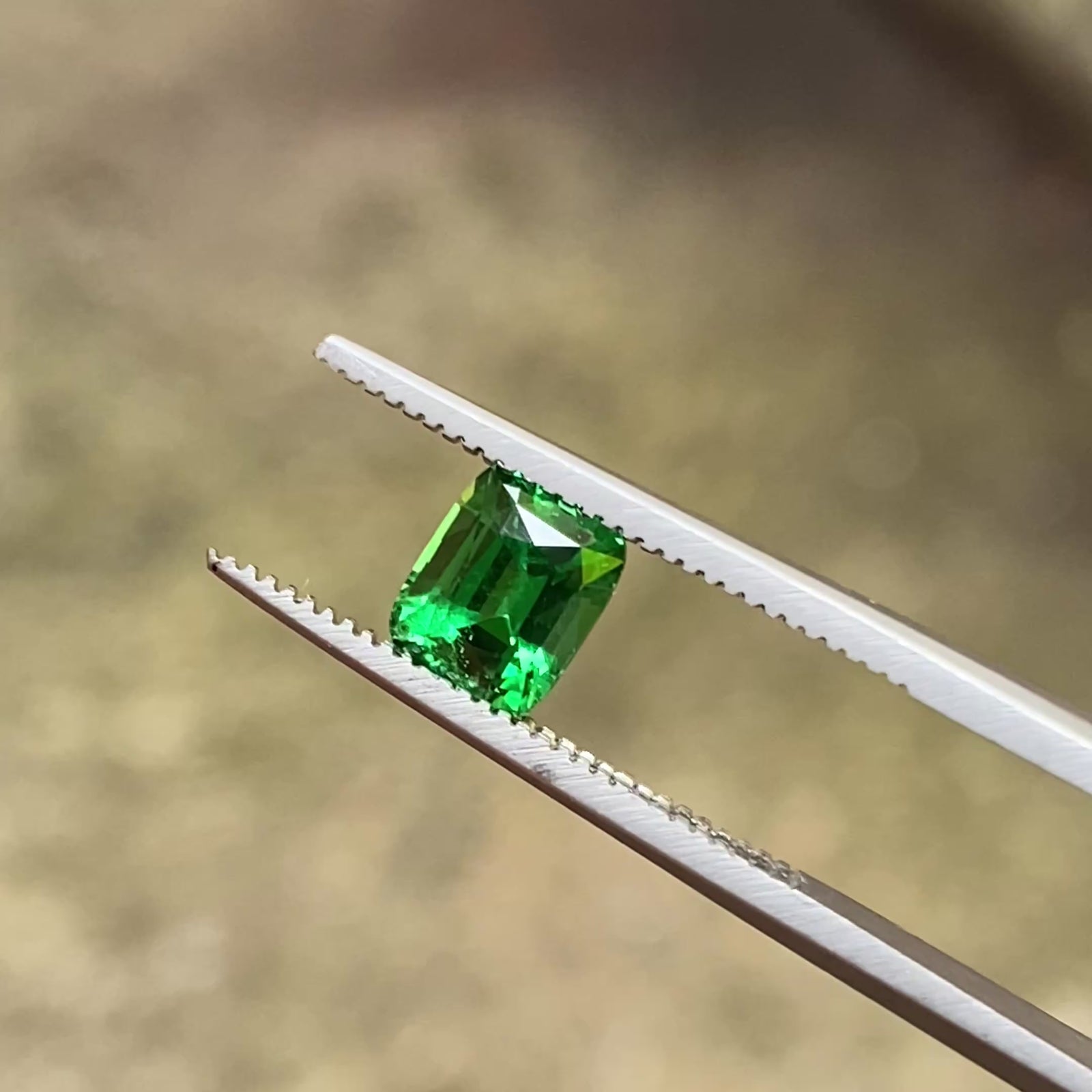 Emerald Cut Tsavorite Garnet 1.15 Carats