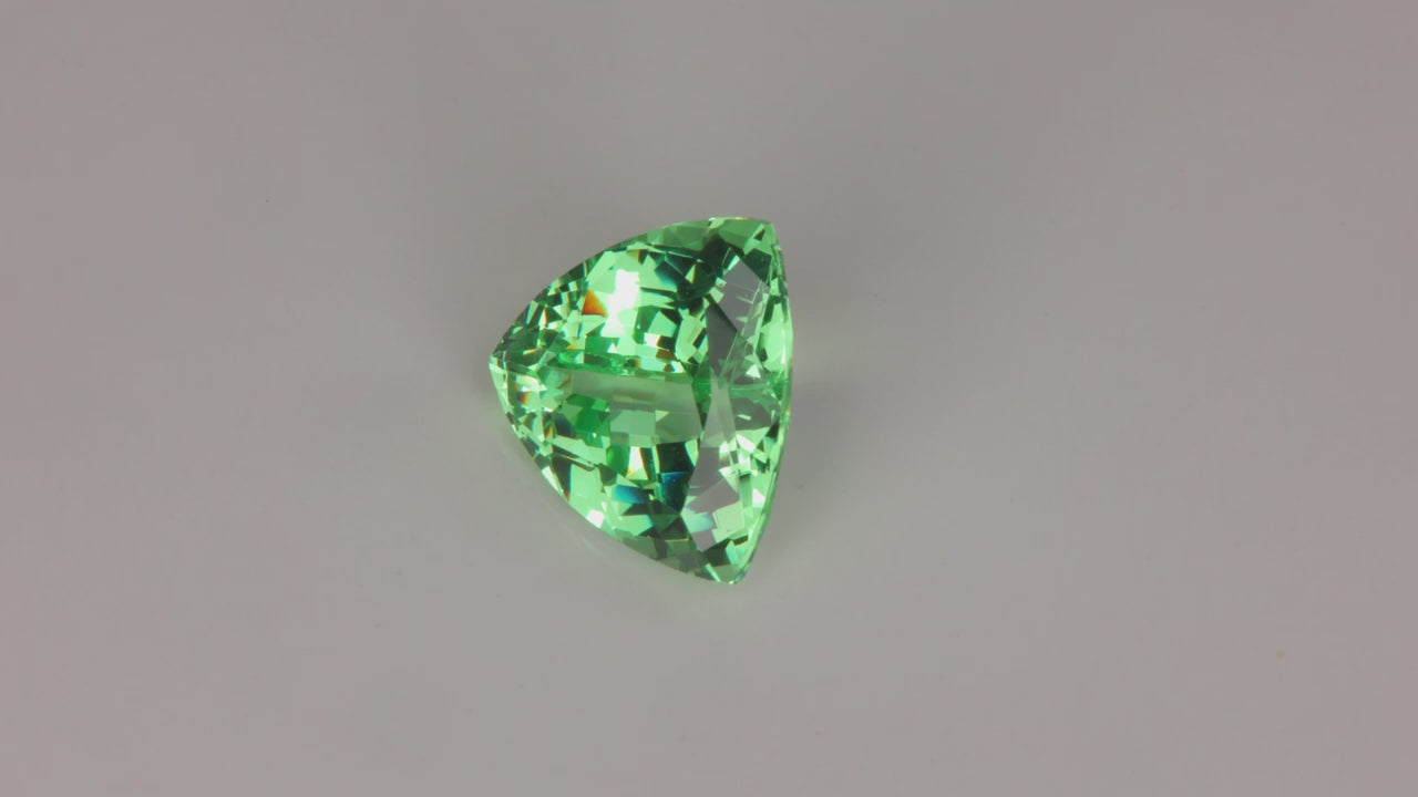 25% OFF w/ code RARE25 | Merelani Mint Garnet Trillant Cut 3.71 Carats