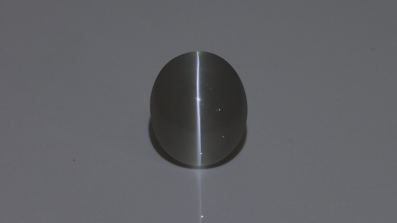 White Catseye Silliminite Round Cabochon 10.54 Carats