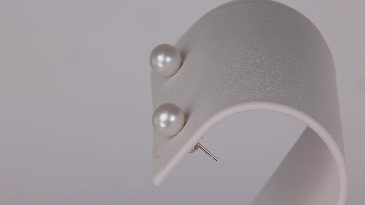 14K White Gold Akoya Pearl Stud Earrings
