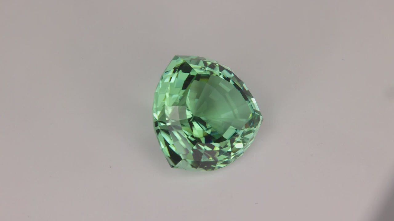 Trilliant Cut Tourmaline 13.68 Carats