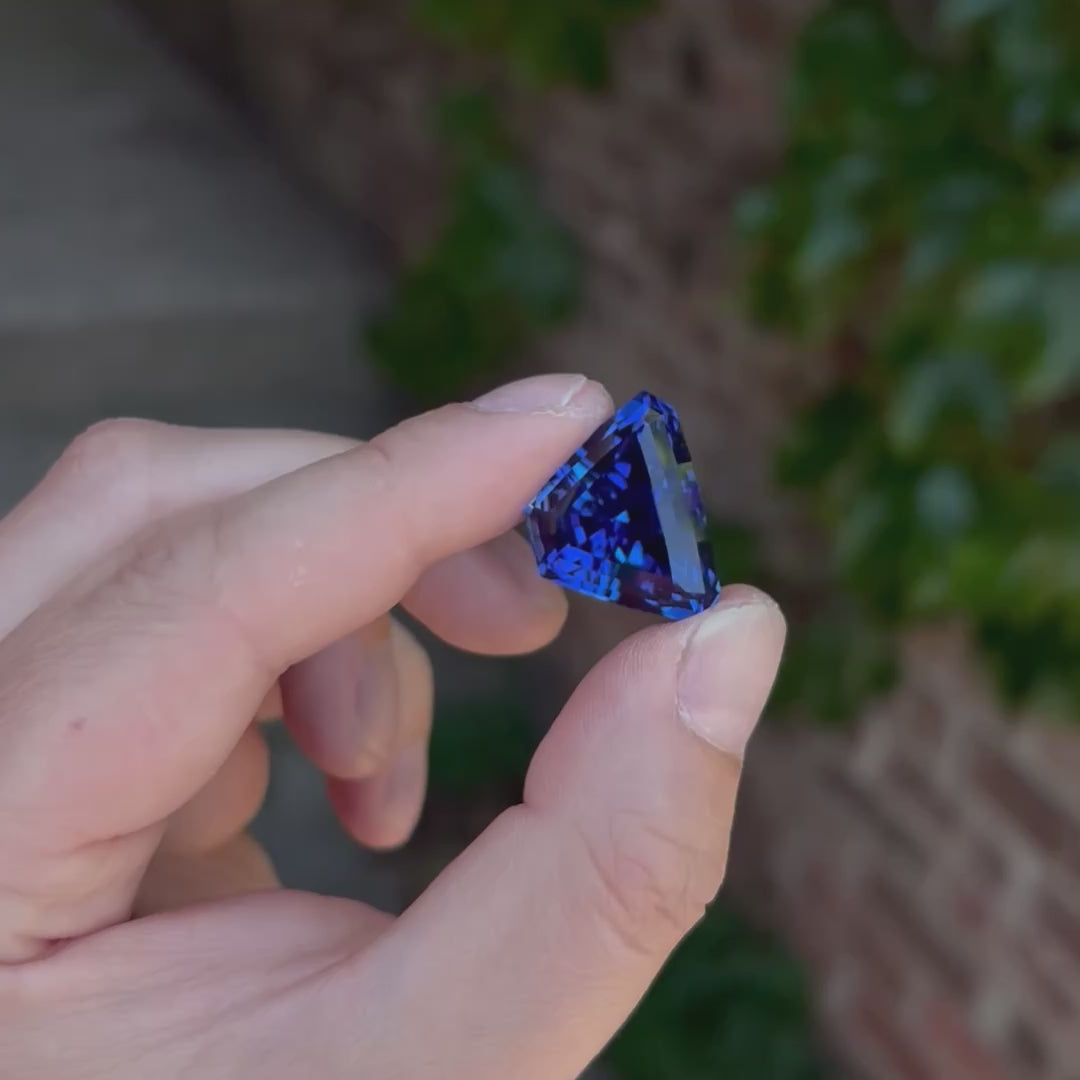 Stepped Shield Cut Tanzanite 45 Carats