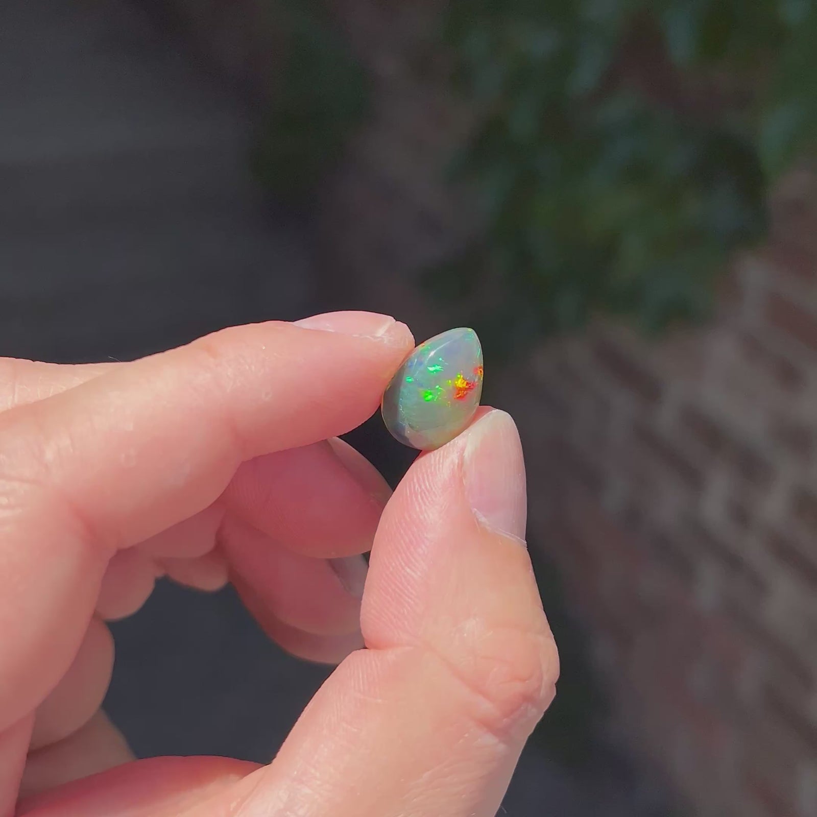 Pear Shape Cabochon Cut Semi Black Crystal Opal 5.67cts