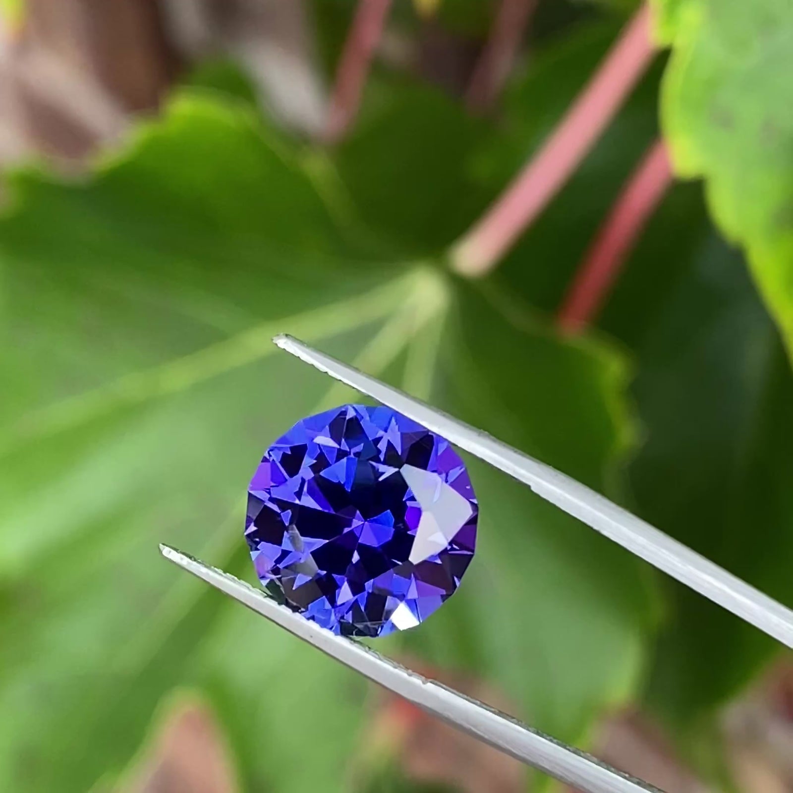 Round Brilliant Cut Tanzanite 6.44 Carats