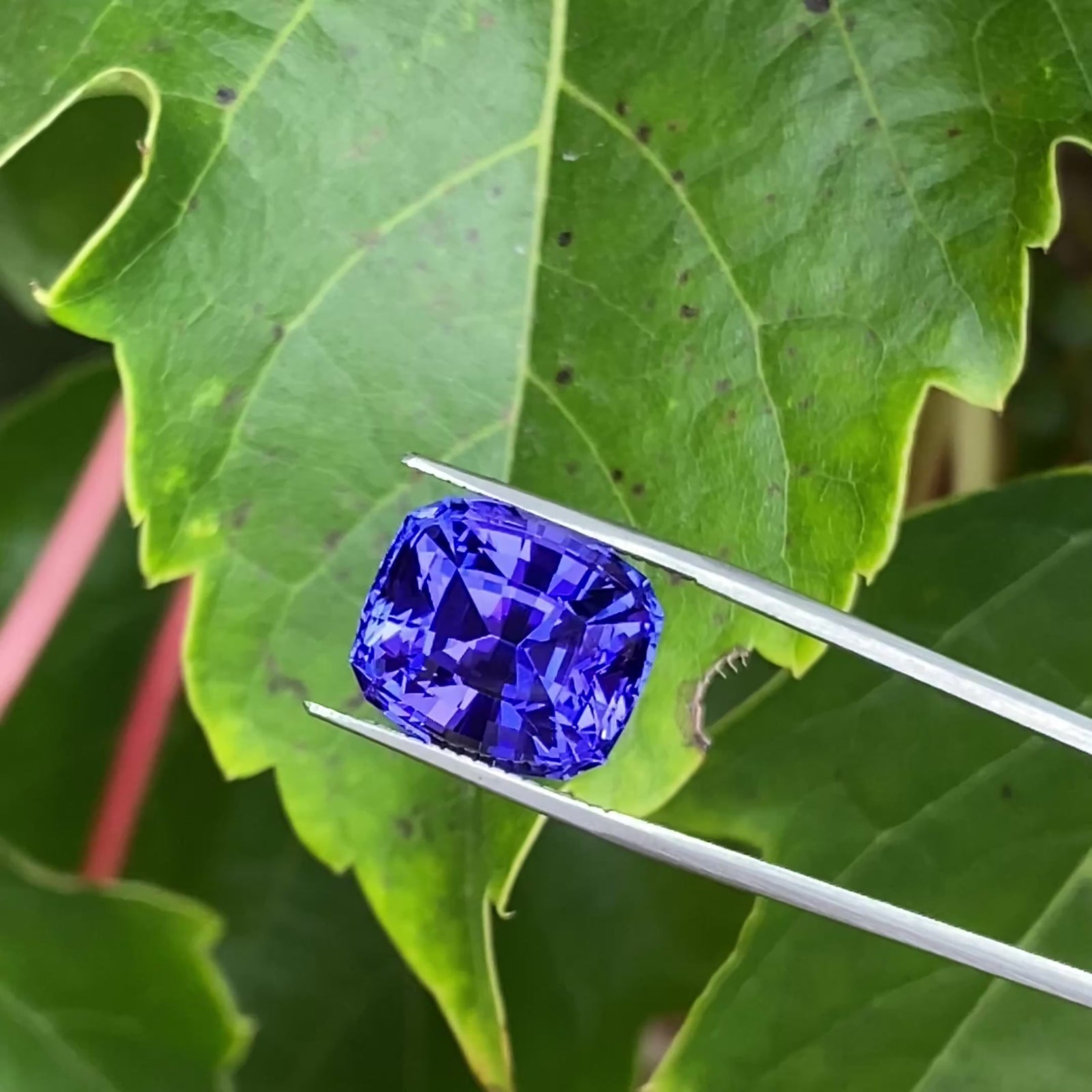 Stepped Antique Cushion Cut Tanzanite 13.05 Carats