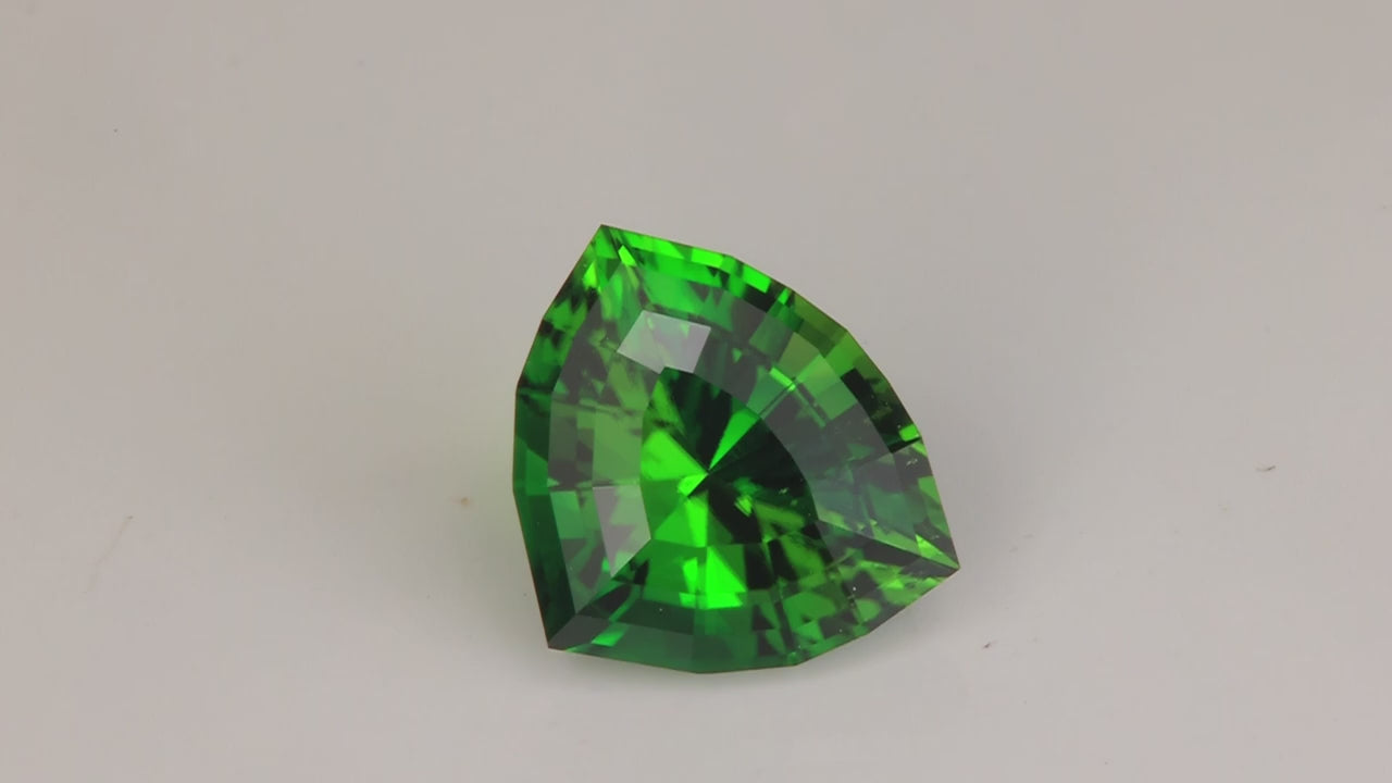 Stepped Triangular Cut Chrome Green Tourmaline 4.92 Carats