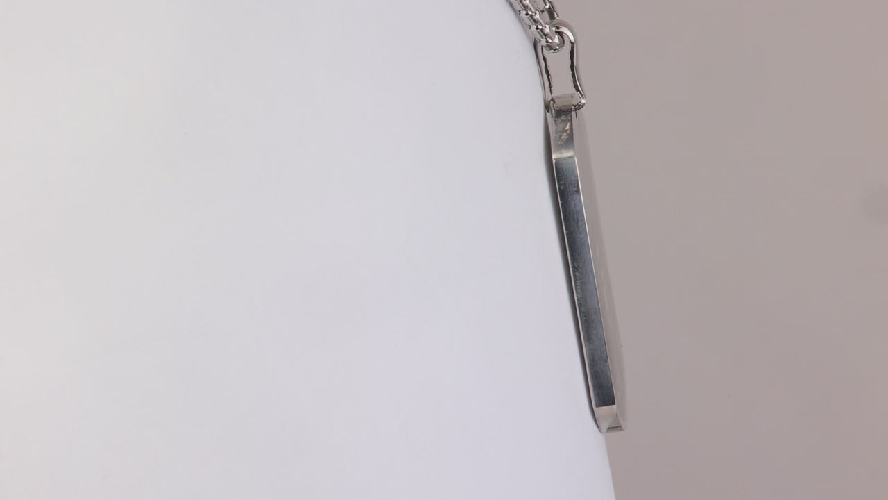 Stainless Steel Necklace with Aletai Meteorite Pendant