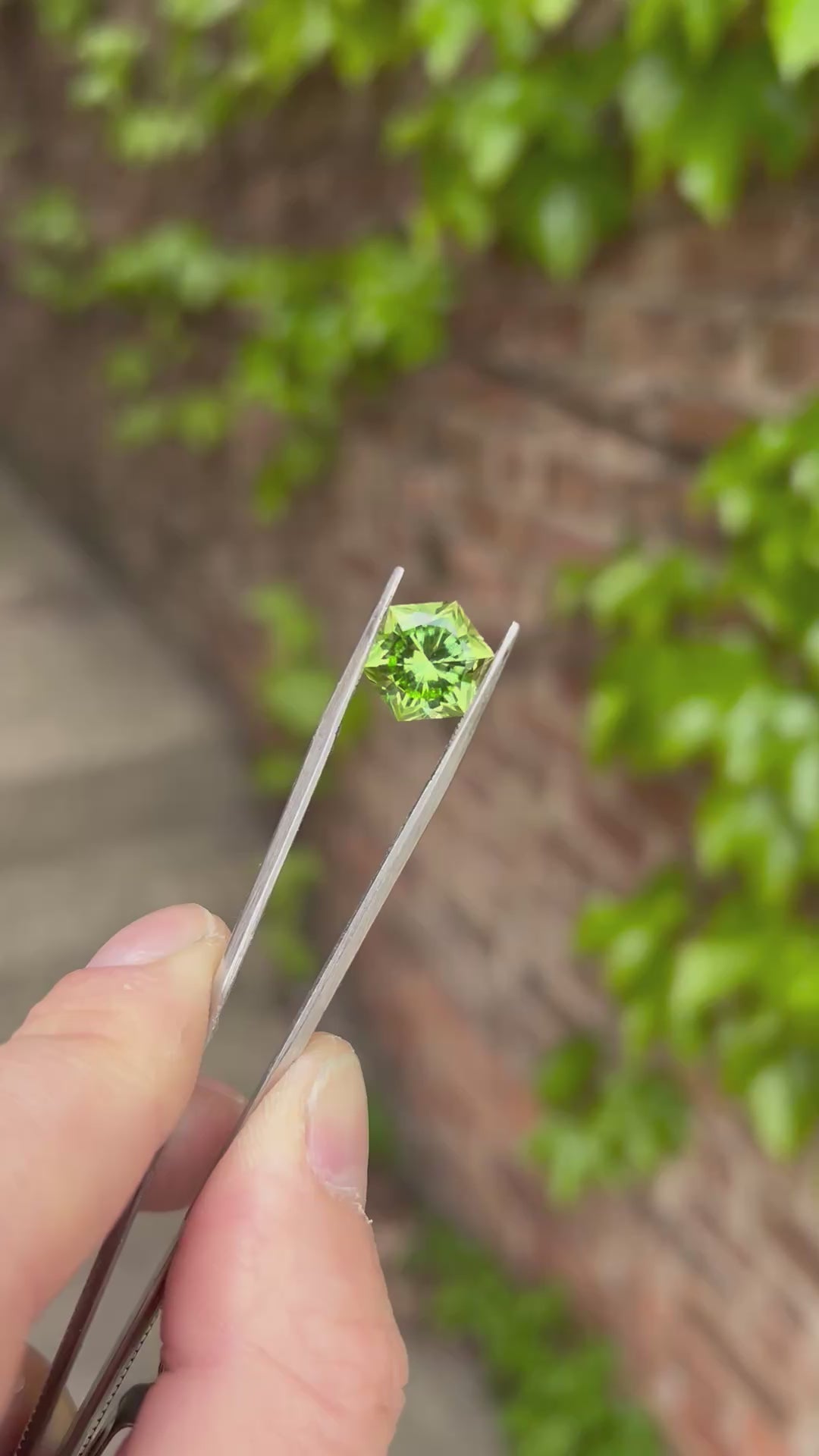 Hexagonal Barion Natural Peridot From Pakistan 7.52 Carats