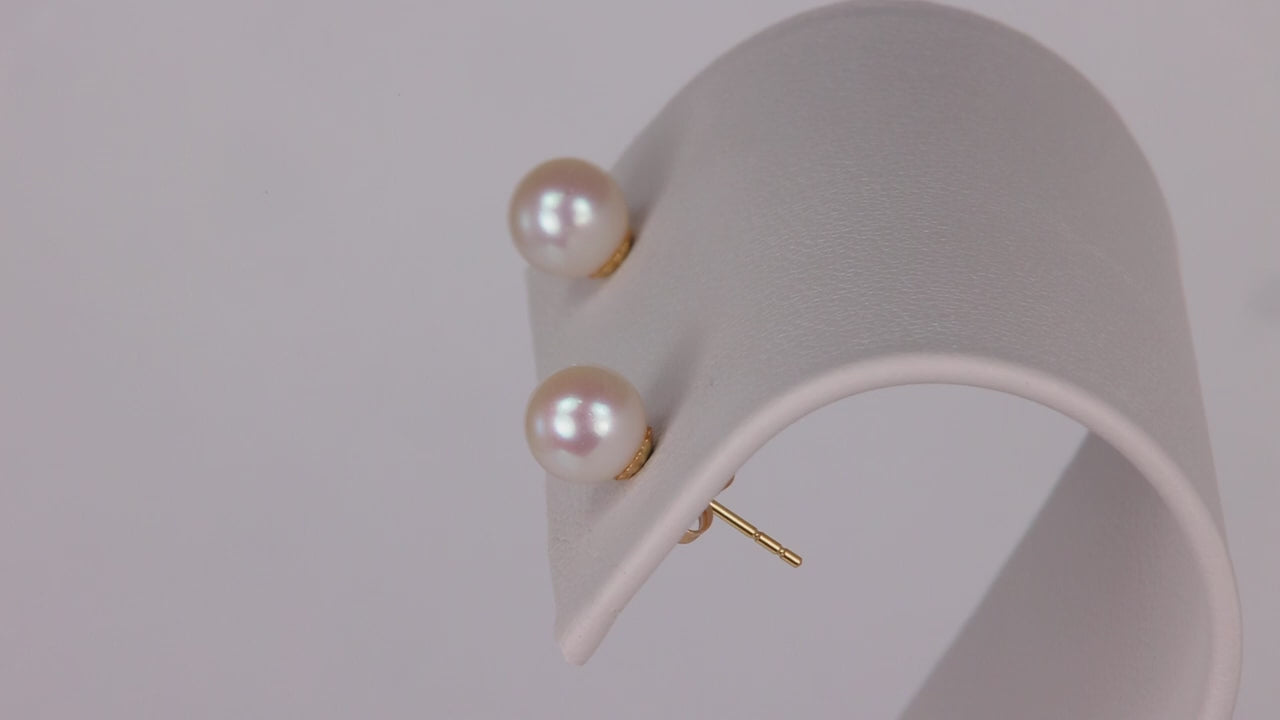 14K Yellow Gold Freshwater Pearl Studs