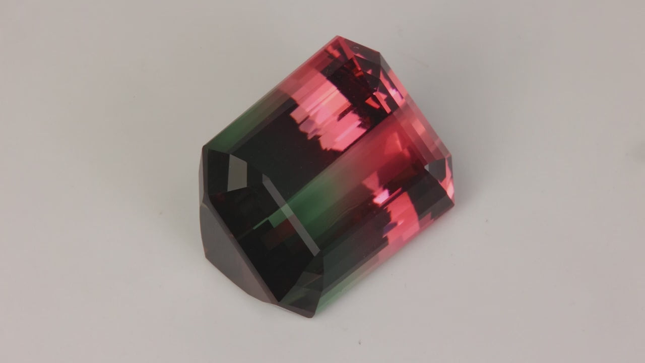 Emerald Cut BiColor Tourmaline From Brazil 30.88cts