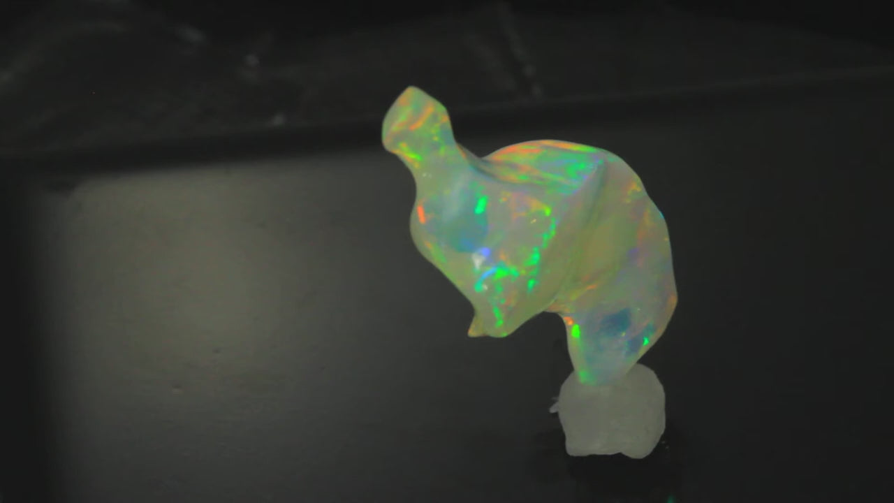 Intense Color "Dove of Peace" Ethiopian Opal Gemstone 25.60 Carats