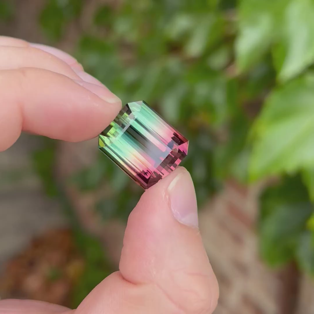 Emerald Cut BiColor Tourmaline From Brazil 30.88cts