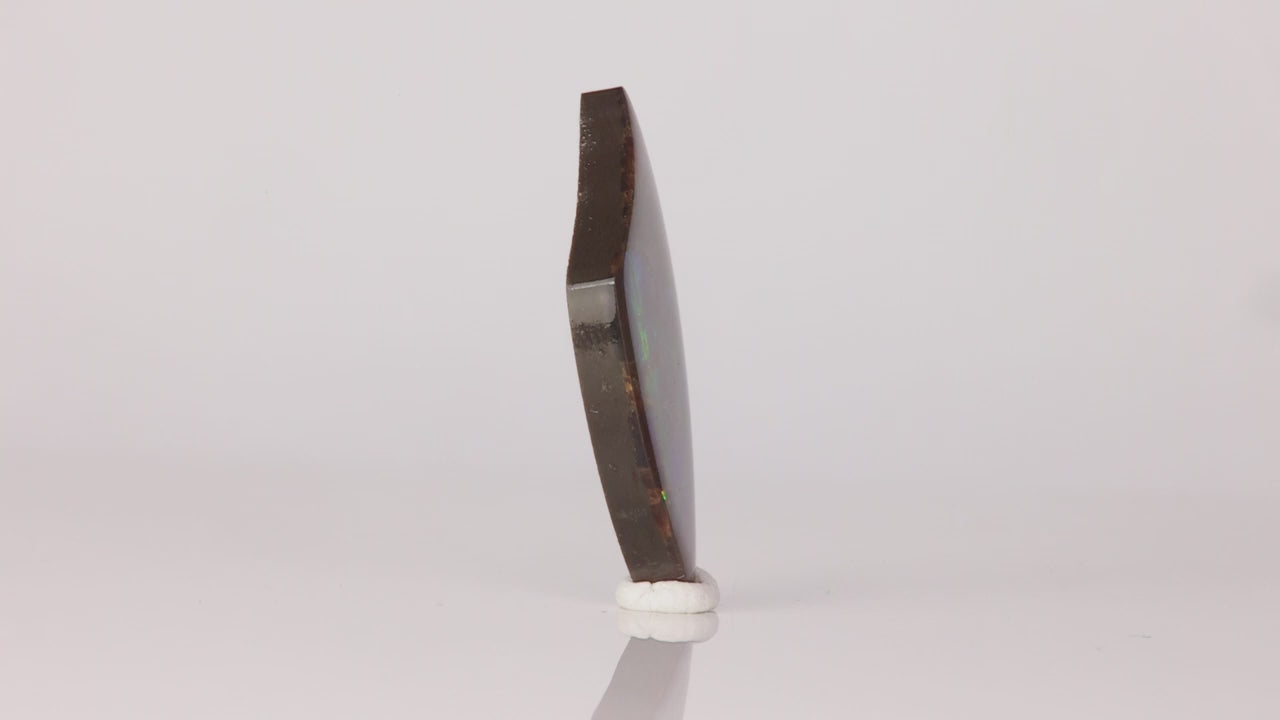 Freeform Cabochon Ammolite 11.72 Carats