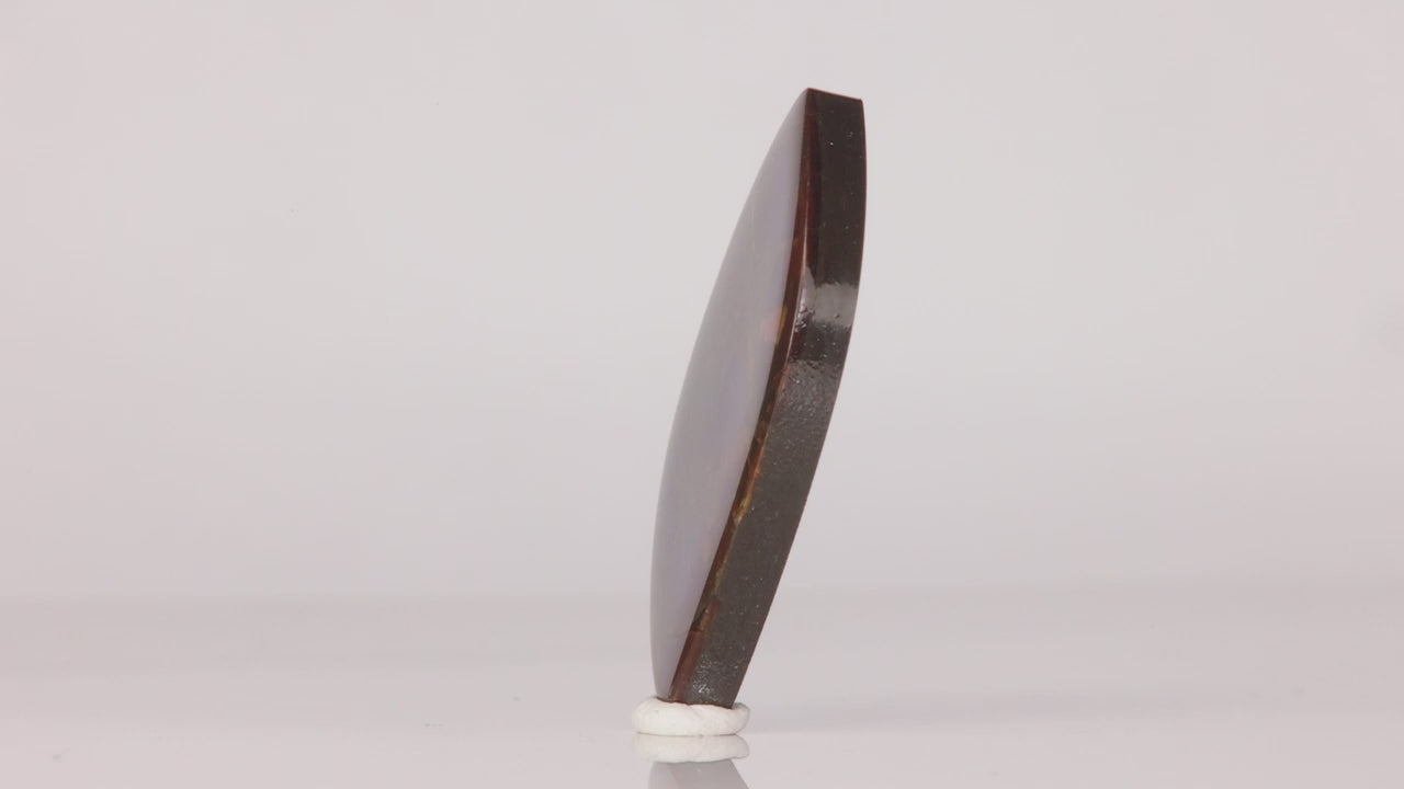 Freeform Cabochon Ammolite From Canada 21.30 Carats