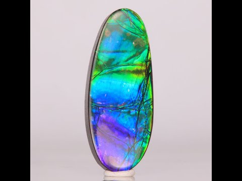Freeform Oval Ammolite 18.04 Carats