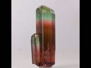 Natural Tri-Color Double Tourmaline Crystal 23.34ct