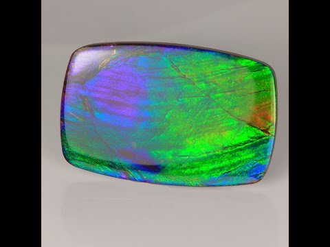 Antique Cushion Cabochon Ammolite 54.60 Carats (Hidden Gem Save 25%)