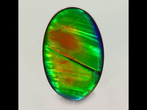 Ammolite of the Finest Quality AAA+ 13.45 Carats