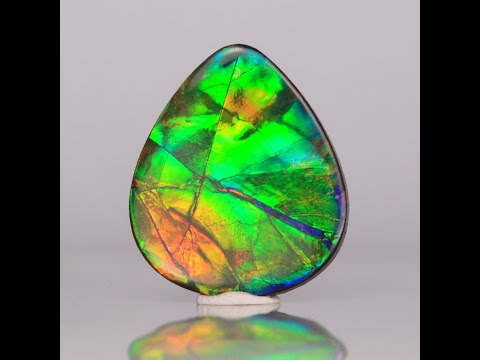 Pear Shape Ammolite 19.45 Carats