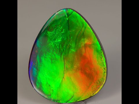 Ammolite 70 Million Year Old Fossil Gem 28.50 Carats