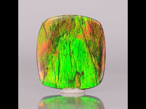 Freeform Cabochon Ammolite 14.29 Carats
