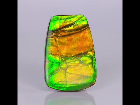 Trapezoid Ammolite 23.20 Carats