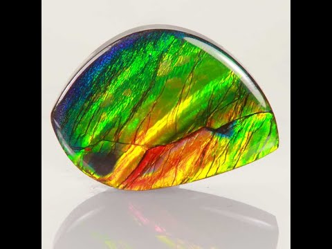 Freeform Cabachon Ammolite 24.30 Carats