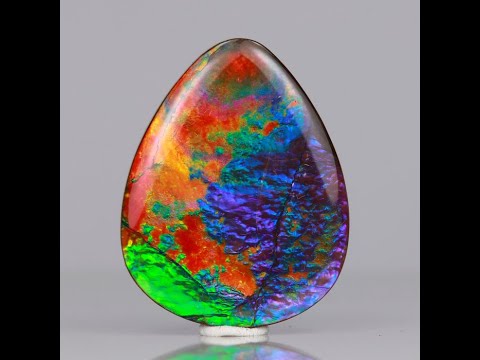 Pear Shape Cabochon Ammolite 21.50 Carats