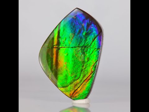 Freeform Cabochon Rainbow Color Ammolite From Canada 27.20 Carats