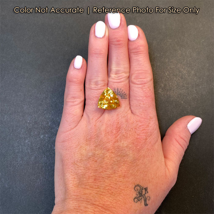 scapolite gem on hand