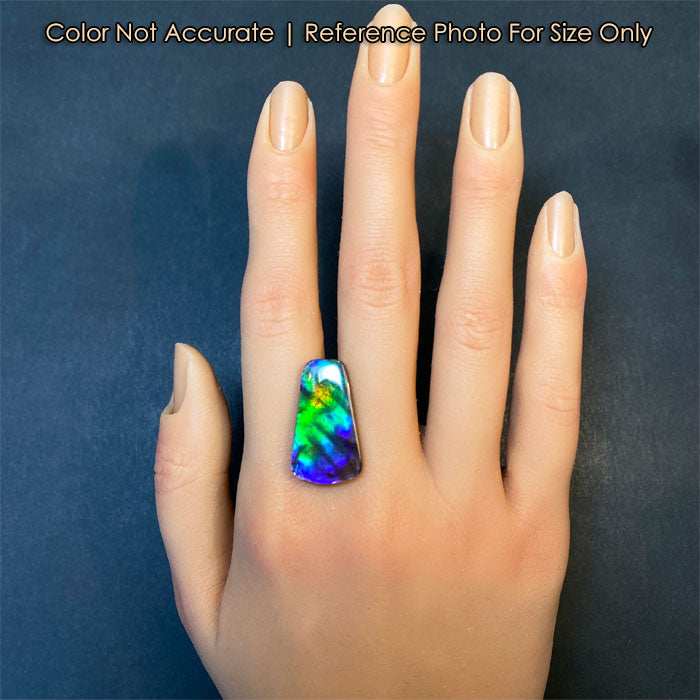 ammolite gem on hand fossilized