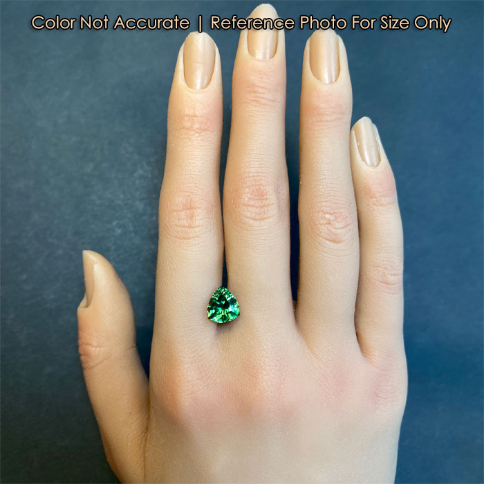 step shield tourmaline gem size to hand