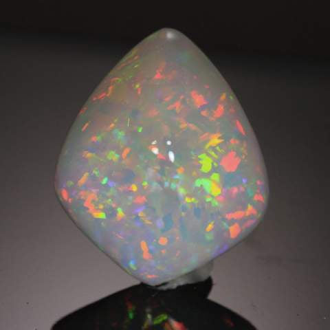 Vivid Colors Shield Shape Welo Opal Gemstone 24.90 Carats