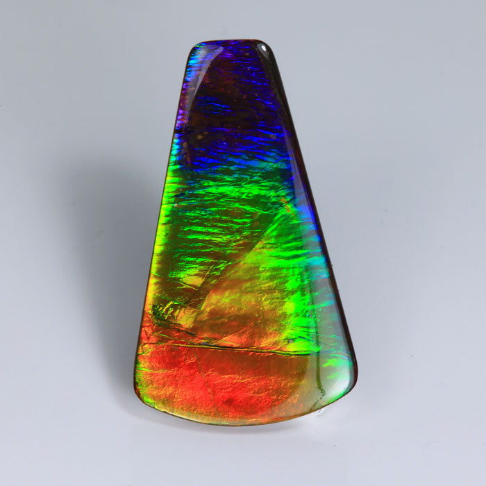 Ammolite