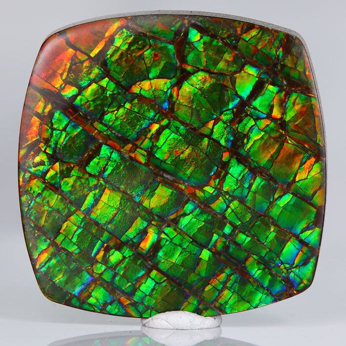 Square Cushion Cabochon Ammolite 43.0cts