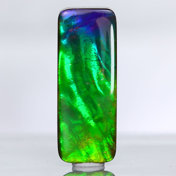 Rectangular Ammolite 10.50cts