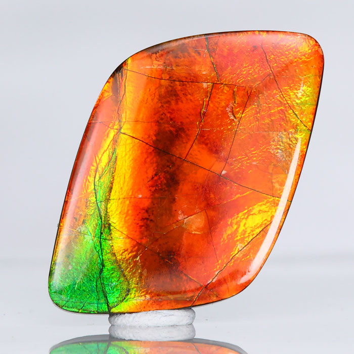 Freeform Cabochon Ammolite 24.40cts